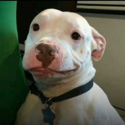 imstrokin_'s profile picture. 9 times out of 10 im prolly not gon respond to ur dm. this just for boredom lol 🔞