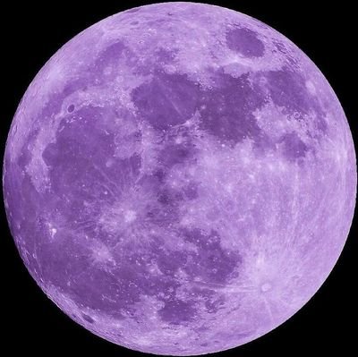 douaamcfc's profile picture. not sure if i'm a fan of @mancity and @lesverts or a victim of them | anti arsenal, man utd & real madrid