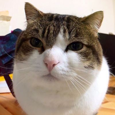 KobinaDSantos's profile picture. POST TENEBRAS LUX