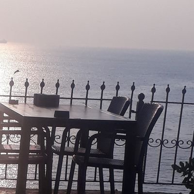 kemal_bilm99959's profile picture. Kemal