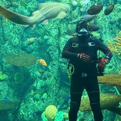 ShallowShippie's profile picture. The only clue to what man can do is what man has done. The value of history, then, is that it teaches us what man has done and thus what man is - RG Collingwood