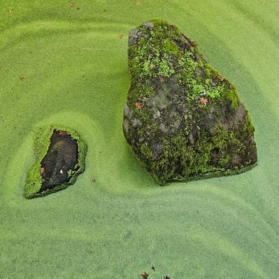 theirhehis's profile picture. RN