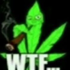 Errizero's profile picture. joguem Lob corp