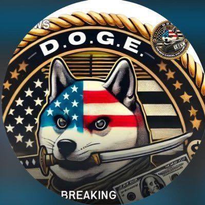 privatechat_369's profile picture. "CEO of Tesla Motors, entrepreneur, and co-founder of Tesla.🇺🇸💪❤️