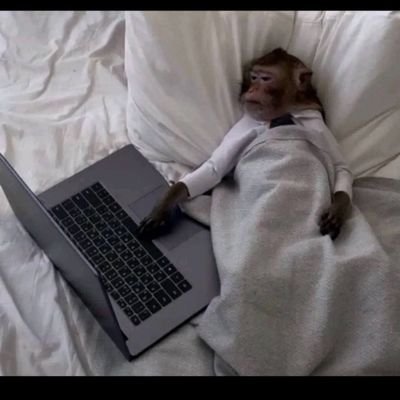 100xAdventurer's profile picture. Crypto preacher | Airdrop hunter | #web3 | #GEMs | #NFTs | SocialFi Farmer |