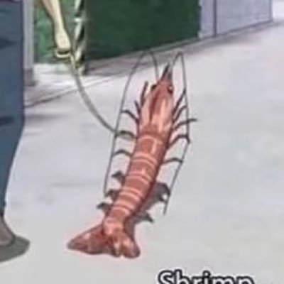 mentholdeer's profile picture. blud