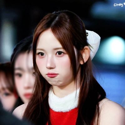 renyan37's profile picture. 🐻🐈‍⬛🦭