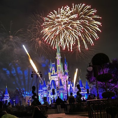 jcnash's profile picture. Disney fan with retirement freedom, gamer patience, and dogs who think I’m a snack dispenser.