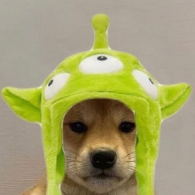 aprilcatalogue's profile picture. https://t.co/1by7pqu9VN