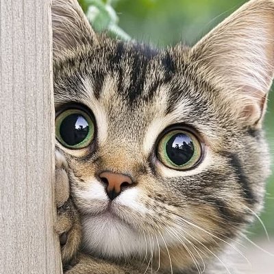 vivoxjavi's profile picture. Let your past make you better not bitter..........