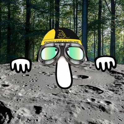 degenwarrior1's profile picture. Gambler ◾️ Degen