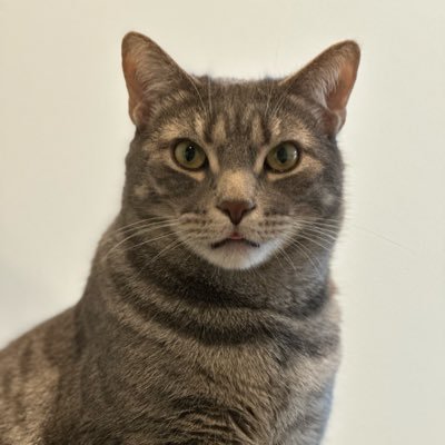 tuxtepecano2's profile picture. #AMLOVER APOYO LA 4T                                      #LaReformaAlPoderJudicialSiSePudo