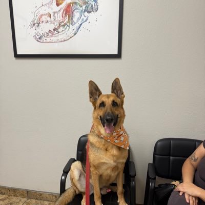 AMERICAFIRST557's profile picture. 