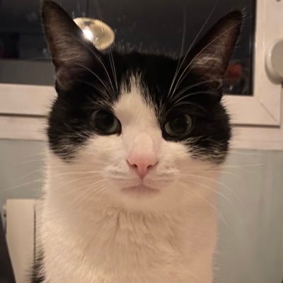 lfcnaby8's profile picture. Free Palestine 🇵🇸 // Free Congo 🇨🇩 // Free Sudan 🇸🇩 - Naby Keita 🐐 // Hate and love relationship with Liverpool FC. // Mental health matter. 🌈🧸