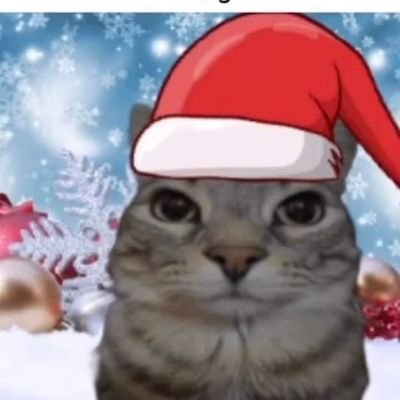 crackyman34's profile picture. the one, the only aquacat left on earth
Bisexual and huge fan of satire