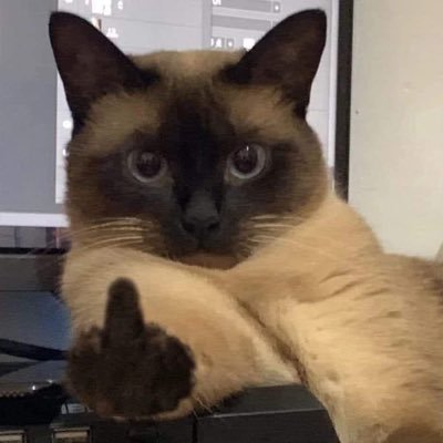 Ice_cholthicha's profile picture. 