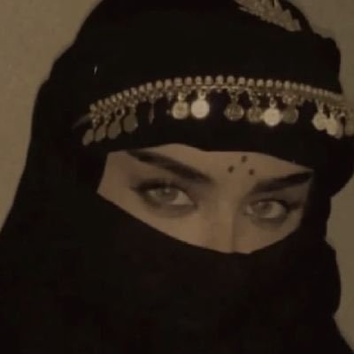 Araabes's profile picture. أنَا الَّذيِ يَشرُفَ الَقَومَ بِذكرَي وَمني وَعندي يَنتَهي الكَرَمُ . J1/P58/FGC11/FGC7/ZS4753