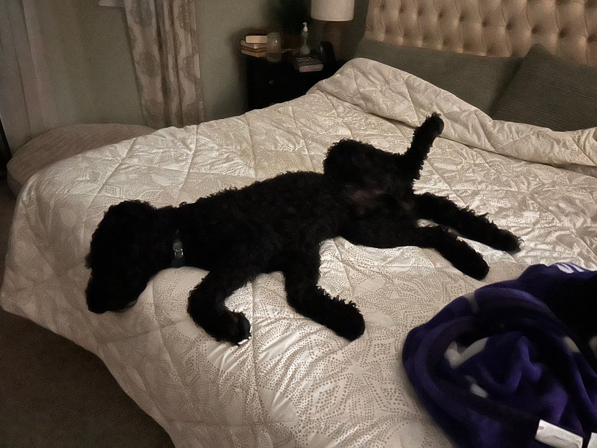 adam_ager79906's profile picture. 