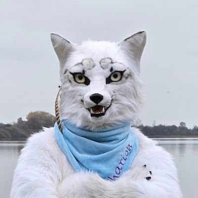TharionWolf's profile picture. I am Tharion. White Wolf. Wrapped in fluff, powered by kindness. 🐺✨
Here to share smiles, spark connections & wag through life.
Telegram open, hugs optional 💞