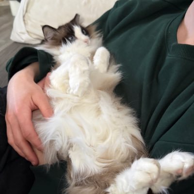 Druxyyy's profile picture. karlie 🩶 @Donnyyboy Pokèmon Collector | Doing things for @thestrivetech