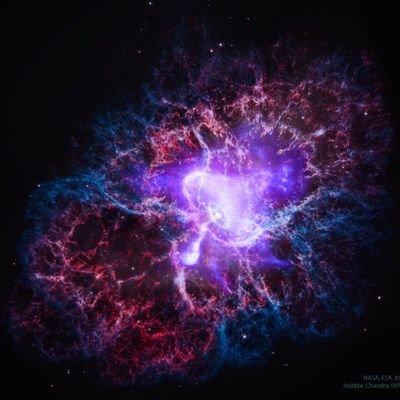 hgtknv's profile picture. 