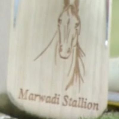 MODIFIEDapk's profile picture. jussss shiiiiiipostin, don't take it seriously