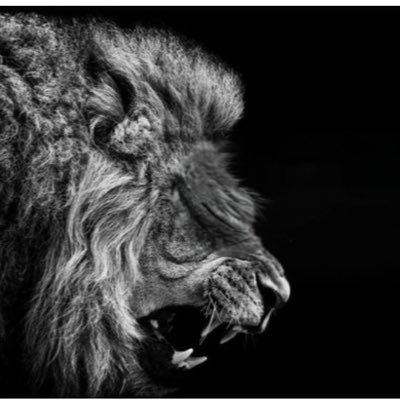 FortunCorp's profile picture. This page is dedicated to providing information on $LRGR (Fortun Corp), a fintech company revolutionizing the SMB sector