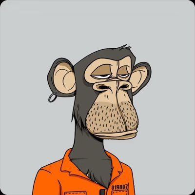 Meech_1000x's profile picture. I’m just Meech | Web3 Marketing | DM for Marketing & Promo✨| NFT’s | $SOL | Connect & Grow 🌱