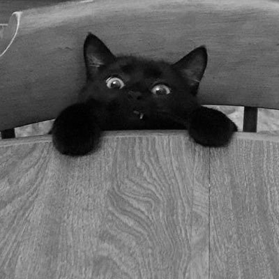 _Trust_N01's profile picture. Trynna play me like I’m dumb, gon make me show you how smart I really am 😂