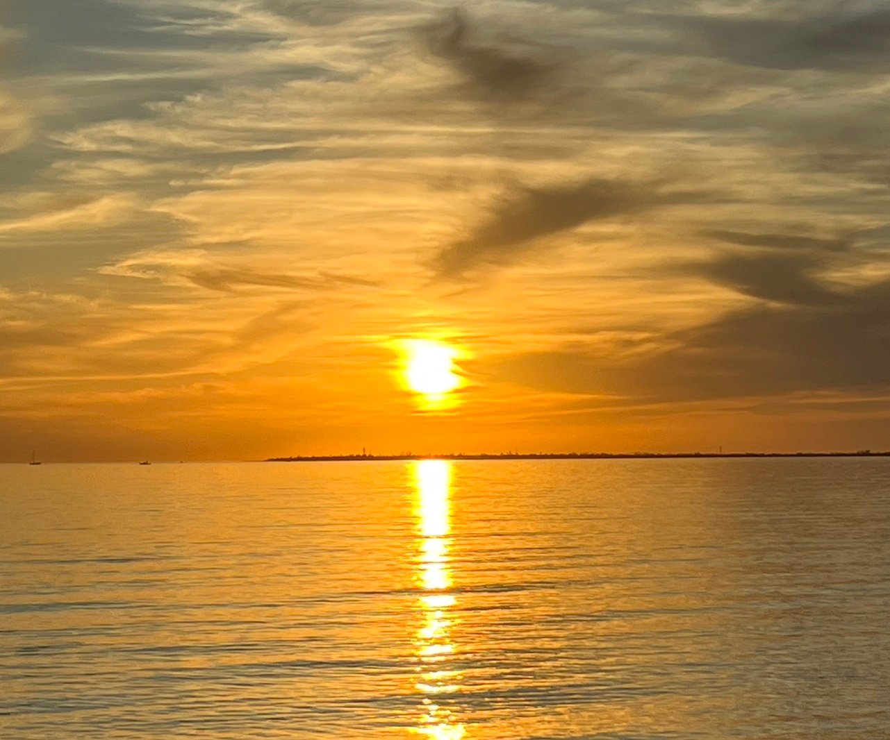 soil2swf4's profile picture. 