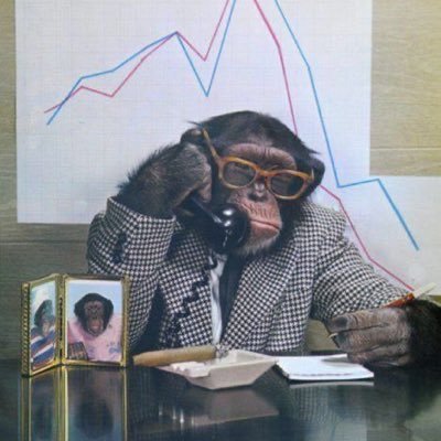 MorlandZK's profile picture. 