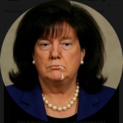 DonicaIewinsky's profile picture. This is NOT a CTO someone updated DEX Original Dev and team still pushing 6Vik7Zf4biqGXZbpm8DCZUtvJQvTvc2vAhTx6yNupump