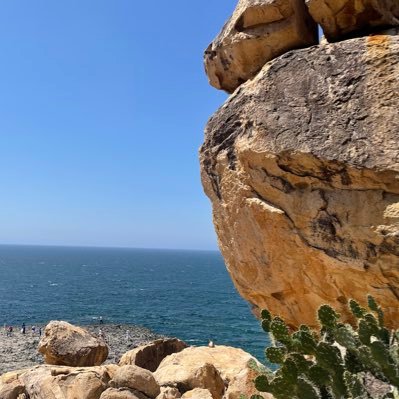 boldvn's profile picture. Crypto or nothing