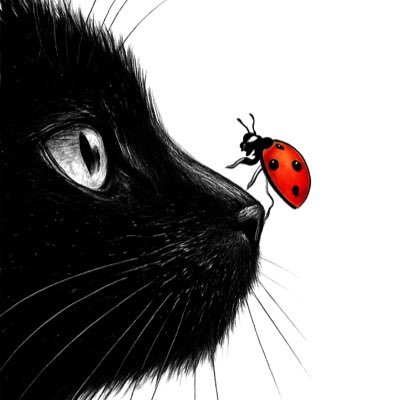 Melis_Okyanus's profile picture. Melis Okyanus – English Quotes & Deep Inspiration 🌊 'Life whispers in silence – Hayat sessiz anlarda fısıldar.@MelisOkyanus 💫 #InspirationalQuotes