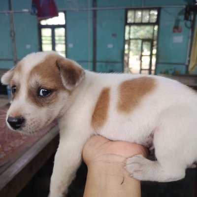 ashonicee's profile picture. https://t.co/DuRsIAPSsu