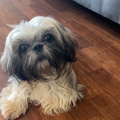 skyyy80937861's profile picture. 