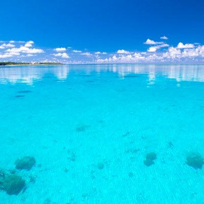 BFAVpaNoGU39622's profile picture. 政治とこの国の未来🇯🇵