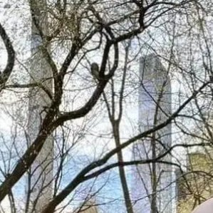 PrivateCha1996's profile picture. 