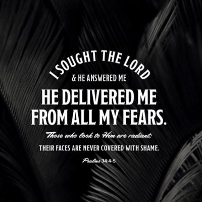 JessePreto85472's profile picture. 