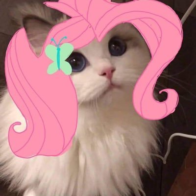 SolarFalconGD20's profile picture. I love euro beat music | GD Player since the 1.9 (mobile) | he/him (20yo) | 🇲🇽😭| Bienvenidos al internet hdp | pseudo intento de creador