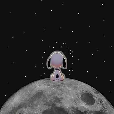 Katheri77966360's profile picture. 🗣