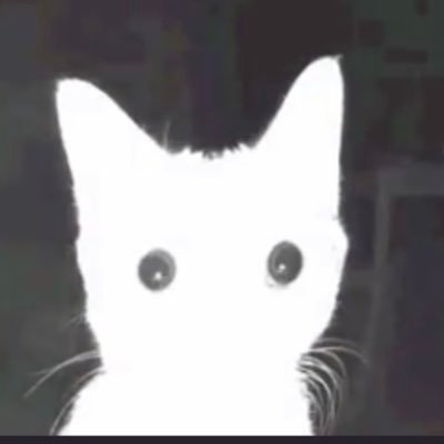 Bilou_MW's profile picture. les vagues douces ne font pas de bons marins. endogame à perte