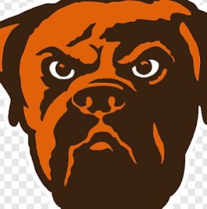 dbdb222222's profile picture. 