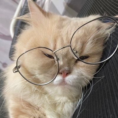 s777arlight's profile picture. 🖤