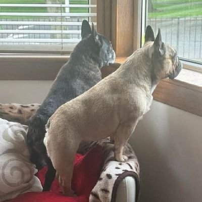 KLoamax's profile picture. La ignorancia puede ser curada, pero la estupidez es ETERNA
(Maquiavelo)