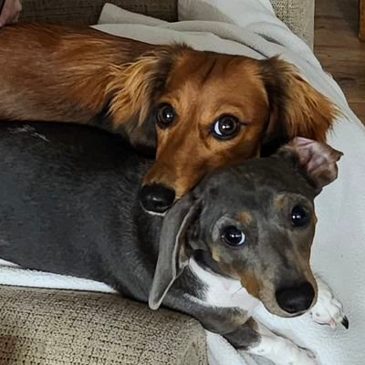 LovedOnlyOne's profile picture. LOVE MY WIFE MORE THAN LIFE ITSELF!! THE BEST IS YET TO COME!!
GOD ALWAYS WINS!!