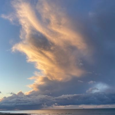 berna7232's profile picture. 