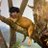 __stryke_'s profile image