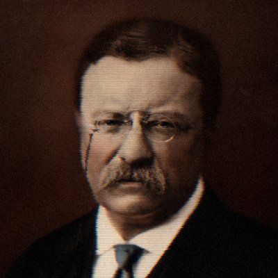 TheProgres49547's profile picture. 18 | American Nationalist 🇺🇸 | Trump-Critical Republican 🐘 | Bi 🩷💜💙 | Accessibility and Neurodiversity Advocate 🧠♿ | Future Family Medicine Doctor 🩺