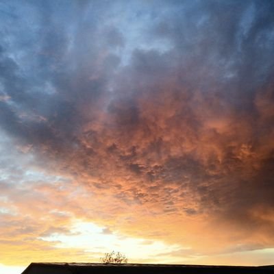 jadexcel's profile picture. A prospective citizen of the kingdom. Nature and animal lover.  Living one day at a time.